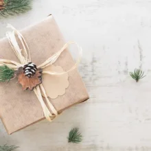 Wrapped Holiday Gift