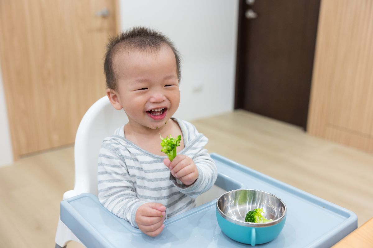 A young toddler sits in a blue and white high chair. He is wearing gray and white striped pajamas. He holds a piece of broccoli in one hand and smiles excitedly. There is a bowl with broccoli in front of him.